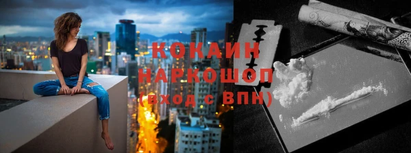 ешки Пересвет