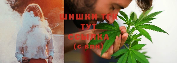 ешки Пересвет
