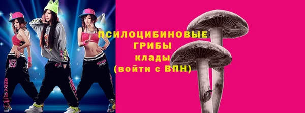 ешки Пересвет