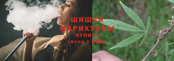 ешки Пересвет