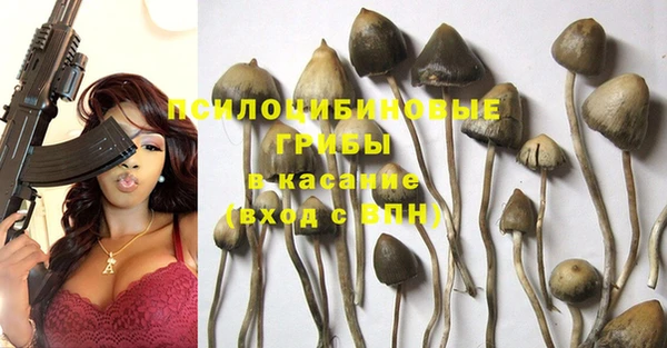 ешки Пересвет