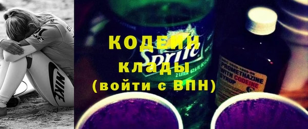 ешки Пересвет