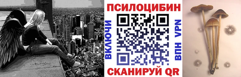 где купить наркотик  Азов  Галлюциногенные грибы Magic Shrooms 
